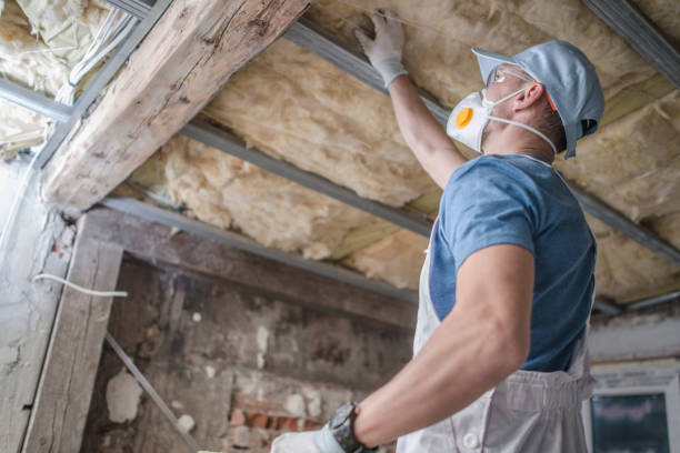 Best Insulation Installation Services in Columbiana, AL